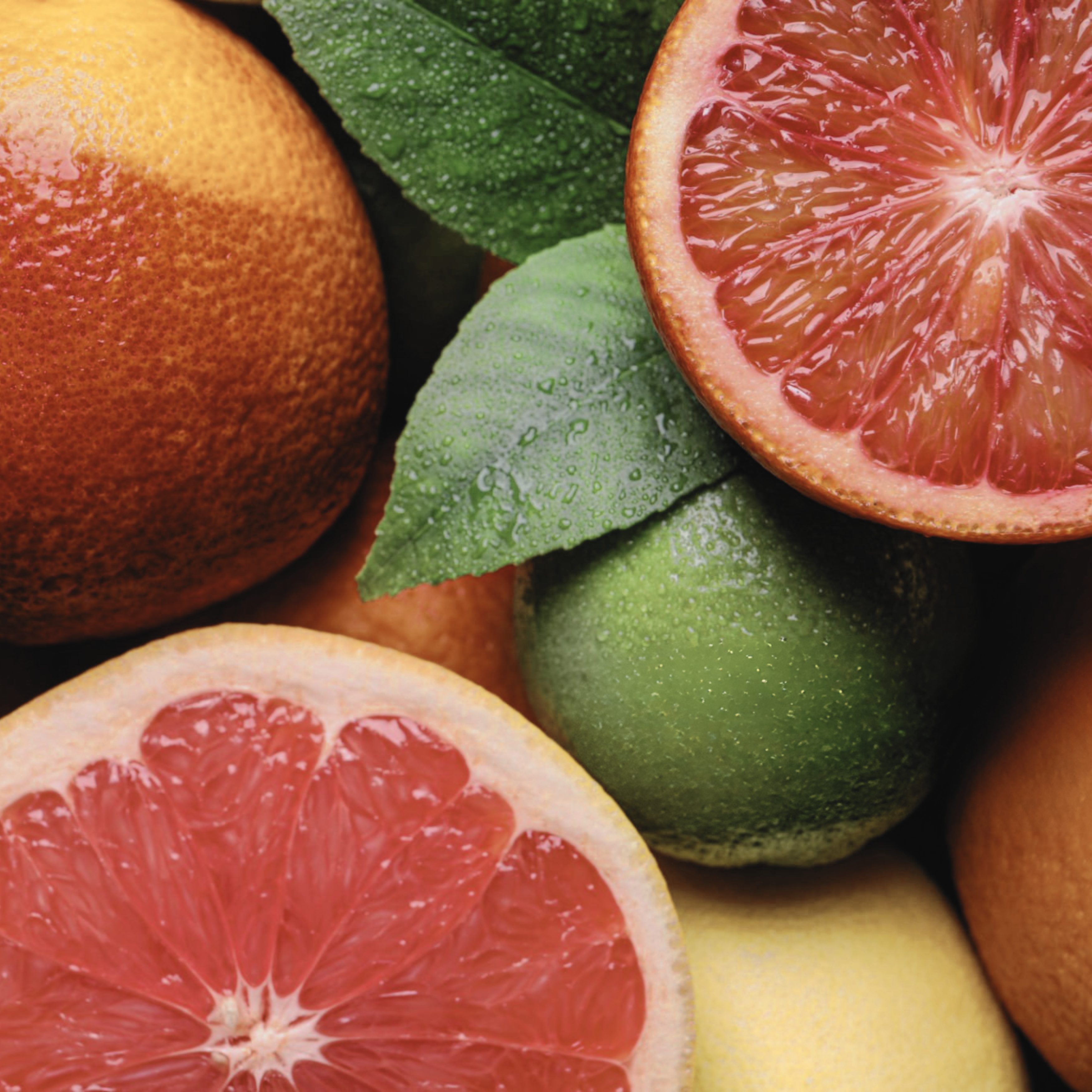 CITRUS & LIME AGAVE