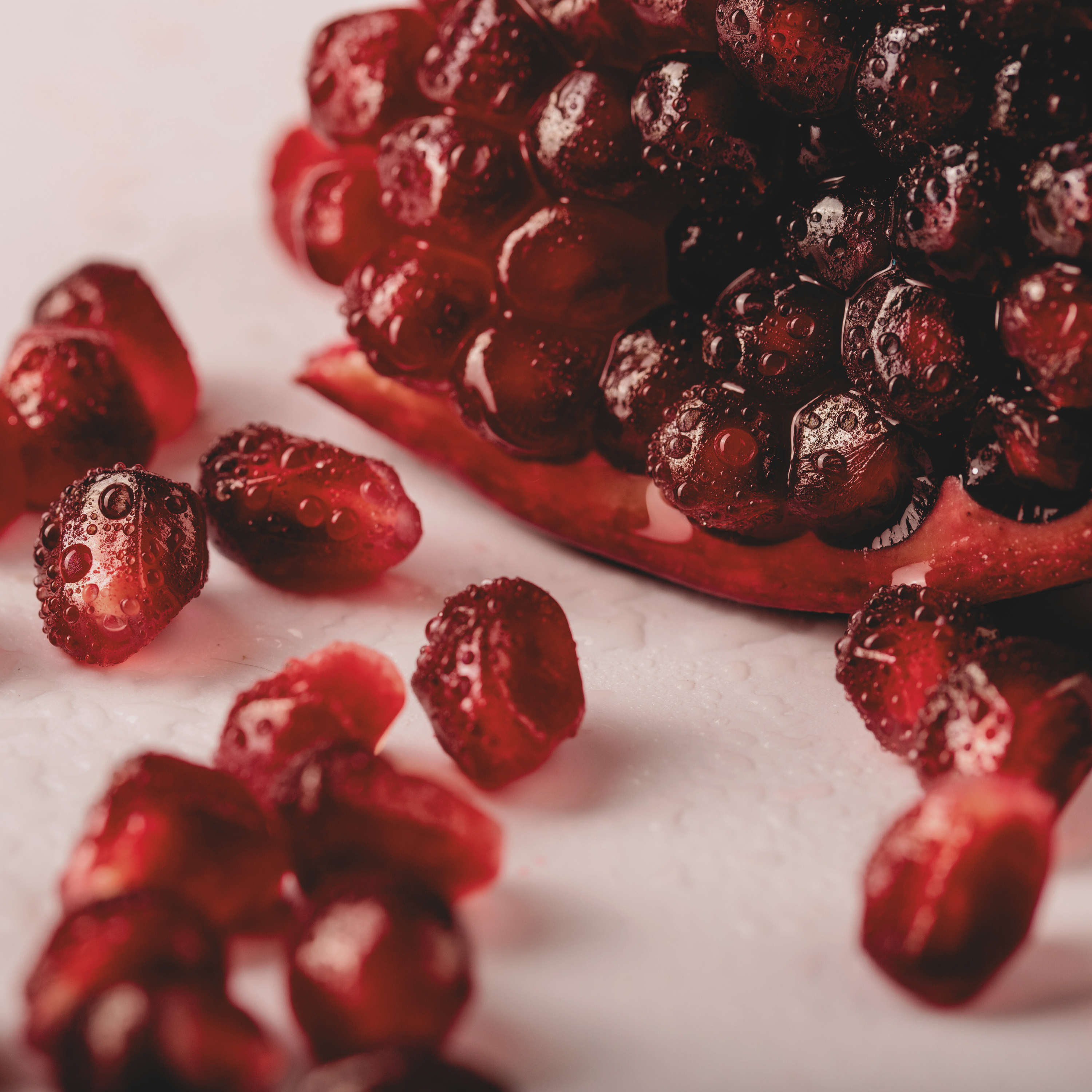 WINTER POMEGRANATE