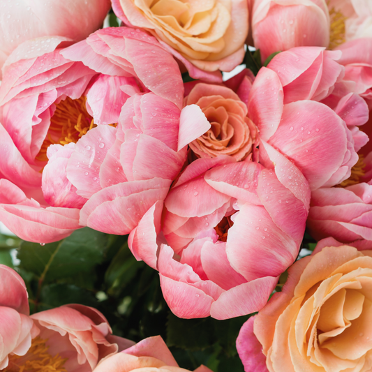 PEONY BLOOMS + MANDARIN