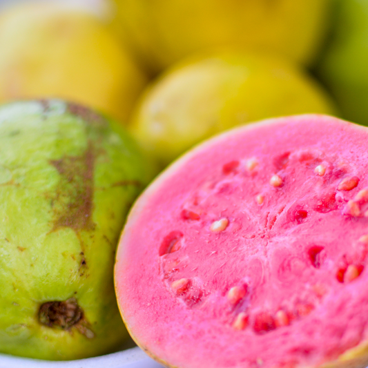 GUAVA + LIME AGAVE