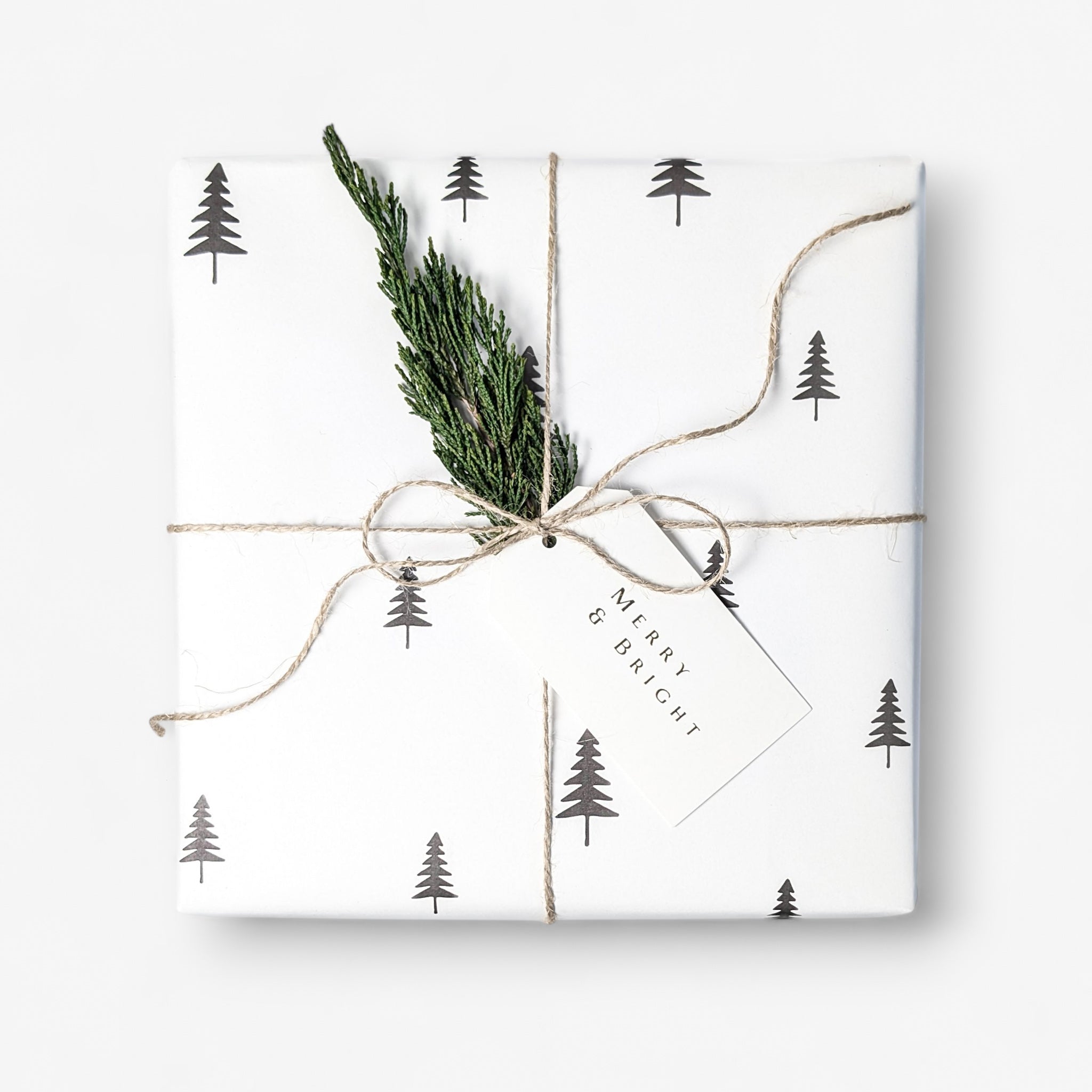 Soap Dispenser Holiday Gift Set